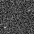 2023aayf_image