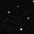 2023aayx_image