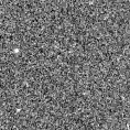 2023acaf_image