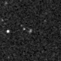 2023acbj_image