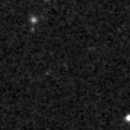 2023accc_image