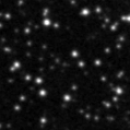 2023accd_image