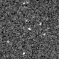 2023acef_image