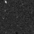 2023acfv_image