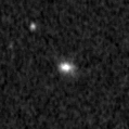 2023acgo_image