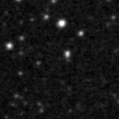 2023adj_image