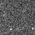 2023ael_image