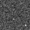 2023anp_image