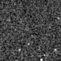 2023anr_image