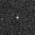 2023ant_image