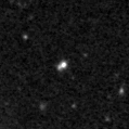 2023ard_image