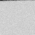 2023arf_image