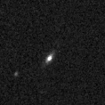 2023auk_image