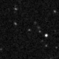 2023avm_image