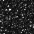2023avo_image