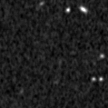 2023ayl_image