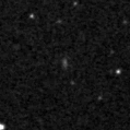 2023bej_image