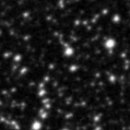 2023bfm_image