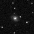 2023bif_image