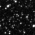 2023bku_image