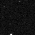 2023blm_image