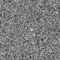 2023bpn_image