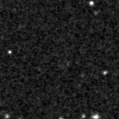 2023brs_image