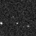 2023bzz_image