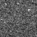 2023ccd_image