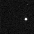 2023cfx_image