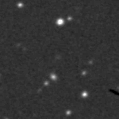 2023chl_image