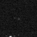 2023cij_image