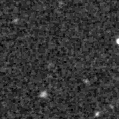2023clj_image