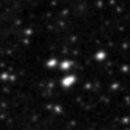 2023coa_image