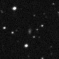 2023cot_image