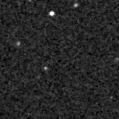 2023cpj_image