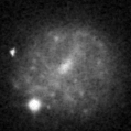 2023cpp_image