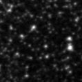 2023cqr_image