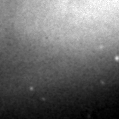 2023cqt_image