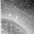 2023csv_image