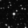 2023cub_image