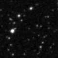 2023cus_image