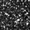 2023cvc_image