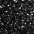 2023cwb_image
