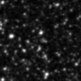 2023cxr_image
