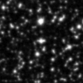 2023ds_image