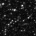 2023eda_image