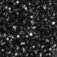 2023efw_image