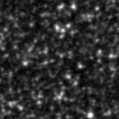 2023egc_image