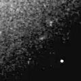 2023egg_image